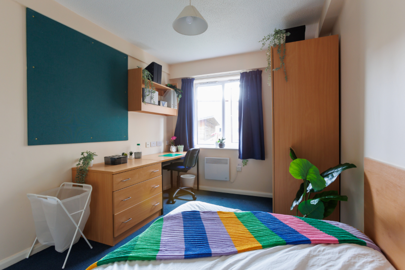 Bedroom with bed, shelving, desk and window