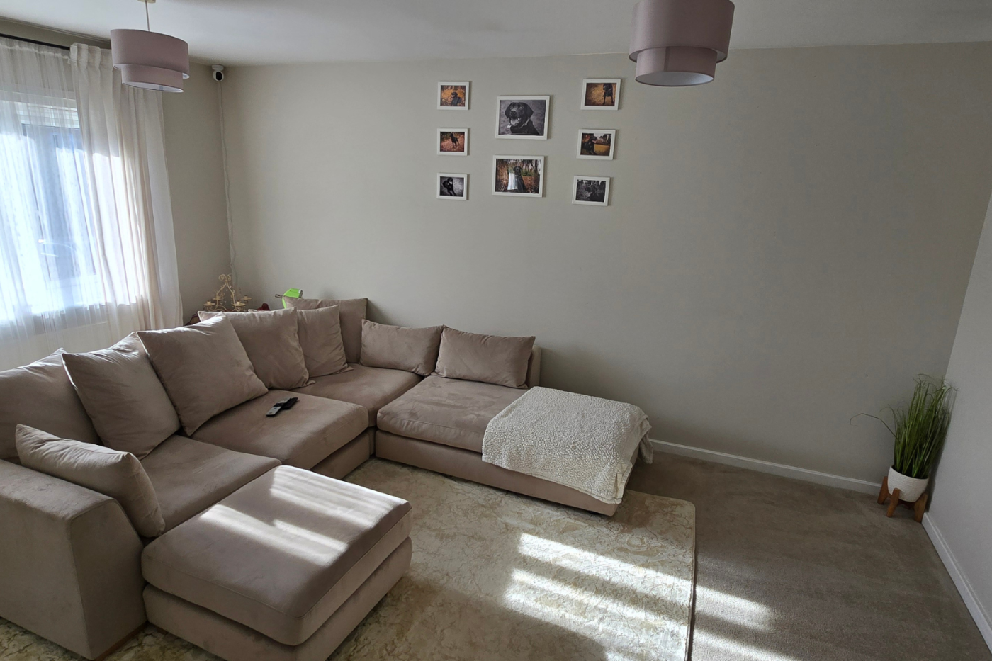 Living room space with sofa