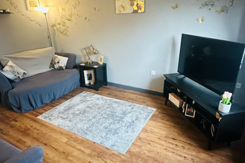 Living room with sofas, rug and TV