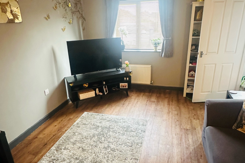 Living room with sofas, rug and TV