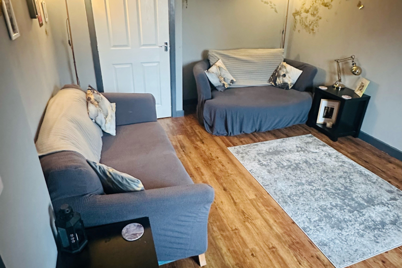 Living room with sofas, rug and TV