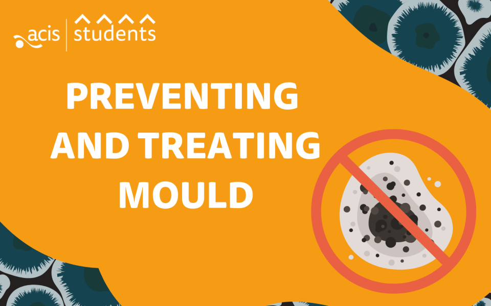 Preventing and treating mould