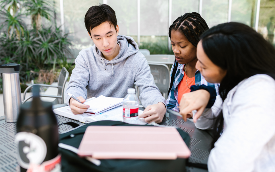 Students sitting around table working