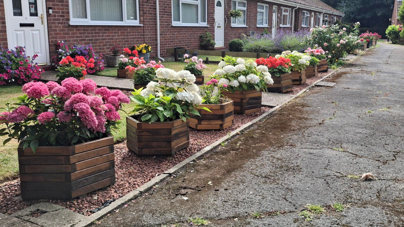 A picture of a row of flower boxes on the street outside of the residents houses