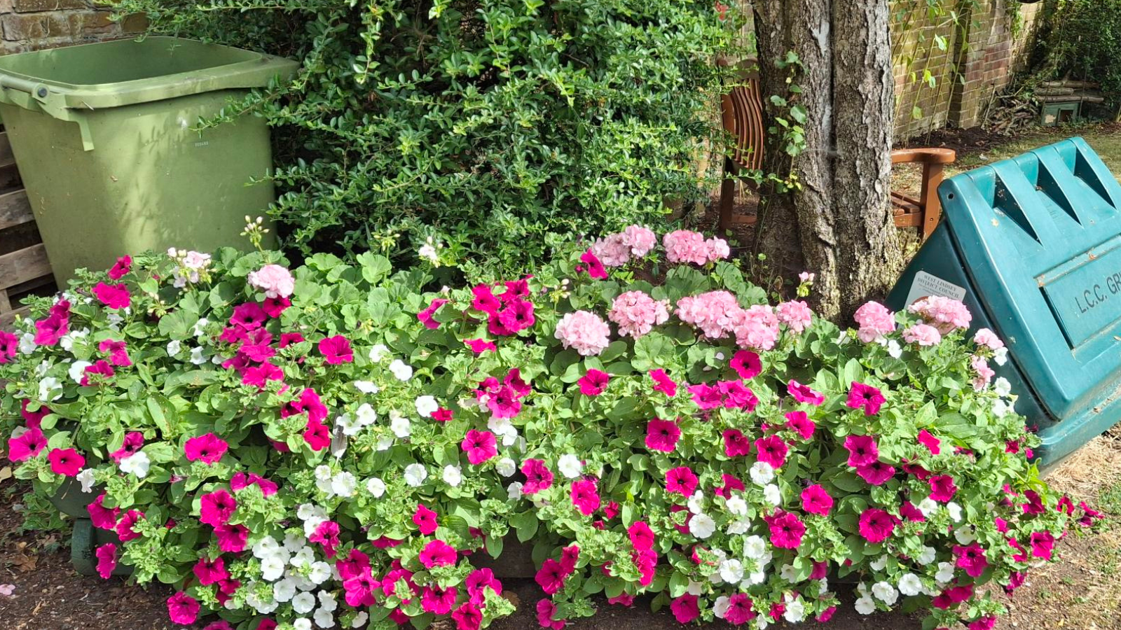 A picture of different white and pink flowers